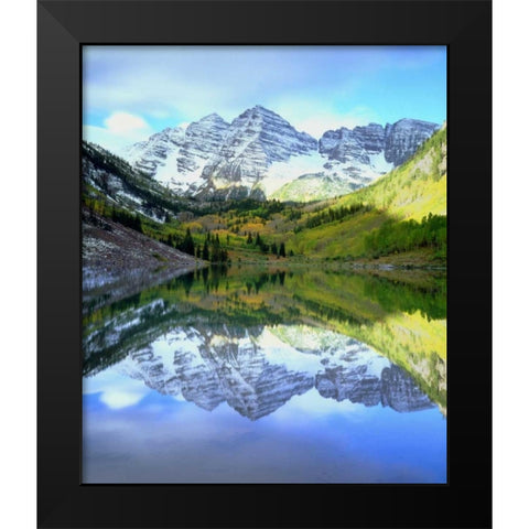 CO, Rocky Mts, Maroon Lake, Maroon Bell flowers Black Modern Wood Framed Art Print by Talbot Frank, Christopher