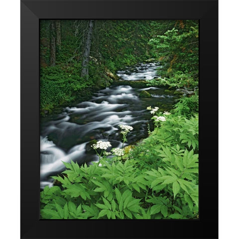 Colorado, White River NF Maroon Creek Black Modern Wood Framed Art Print by Flaherty, Dennis