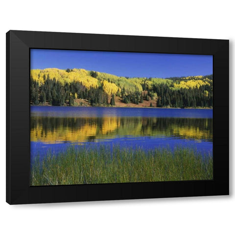 Colorado, Gunnison NF Autumn scenic at Lost Lake Black Modern Wood Framed Art Print with Double Matting by Flaherty, Dennis