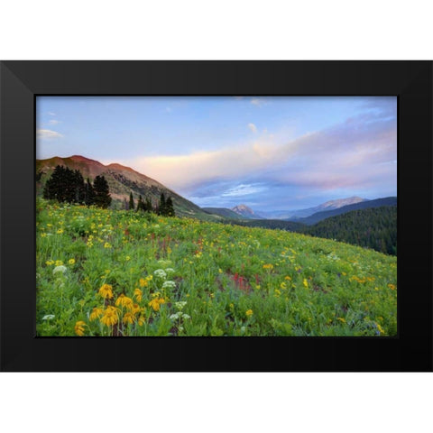 CO, Crested Butte Flowers and mountains Black Modern Wood Framed Art Print by Flaherty, Dennis