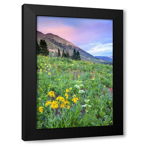 CO, Crested Butte Flowers and mountains Black Modern Wood Framed Art Print by Flaherty, Dennis