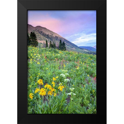 CO, Crested Butte Flowers and mountains Black Modern Wood Framed Art Print by Flaherty, Dennis