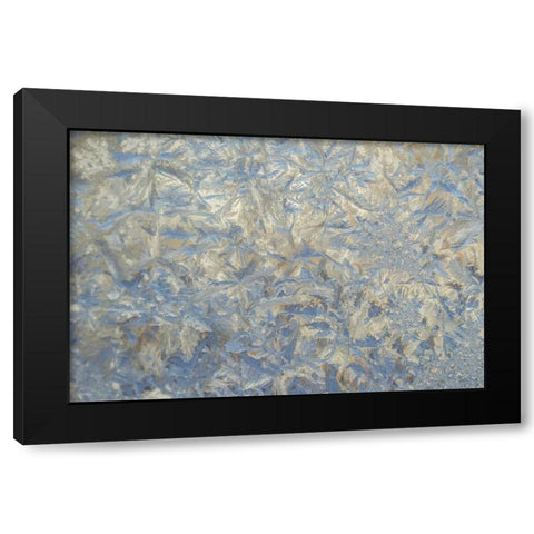 USA, Colorado Close-up of frost and ice on glass Black Modern Wood Framed Art Print by Illg, Cathy and Gordon
