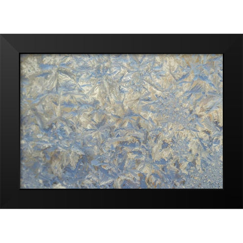 USA, Colorado Close-up of frost and ice on glass Black Modern Wood Framed Art Print by Illg, Cathy and Gordon