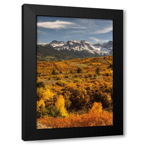 Colorado Dallas Divide in San Juan Mountains Black Modern Wood Framed Art Print with Double Matting by Illg, Cathy and Gordon