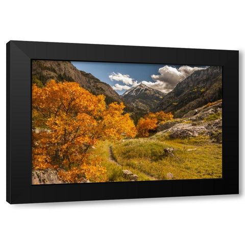 Colorado Autumn landscape in San Juan Mountains Black Modern Wood Framed Art Print with Double Matting by Illg, Cathy and Gordon