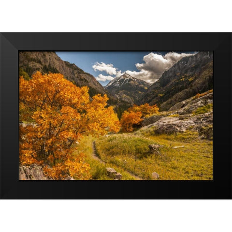Colorado Autumn landscape in San Juan Mountains Black Modern Wood Framed Art Print by Illg, Cathy and Gordon