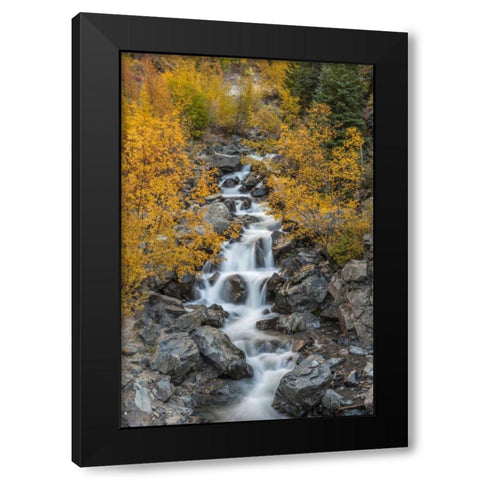 Colorado Cascading creek in San Juan Mountains Black Modern Wood Framed Art Print with Double Matting by Illg, Cathy and Gordon