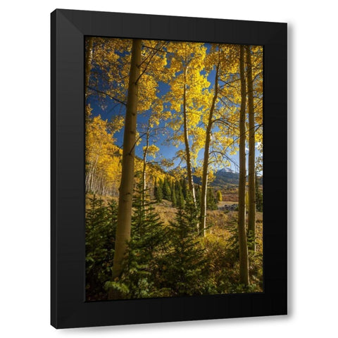 USA, Colorado Landscape in San Juan Mountains Black Modern Wood Framed Art Print by Illg, Cathy and Gordon