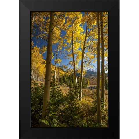 USA, Colorado Landscape in San Juan Mountains Black Modern Wood Framed Art Print by Illg, Cathy and Gordon