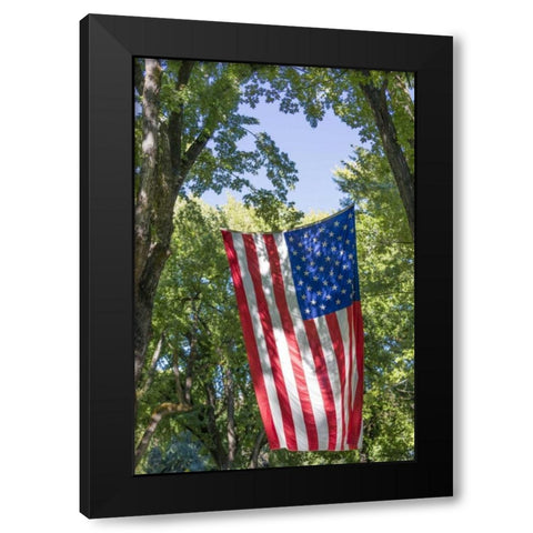 Colorado, Crawford Flag between two trees Black Modern Wood Framed Art Print with Double Matting by Paulson, Don