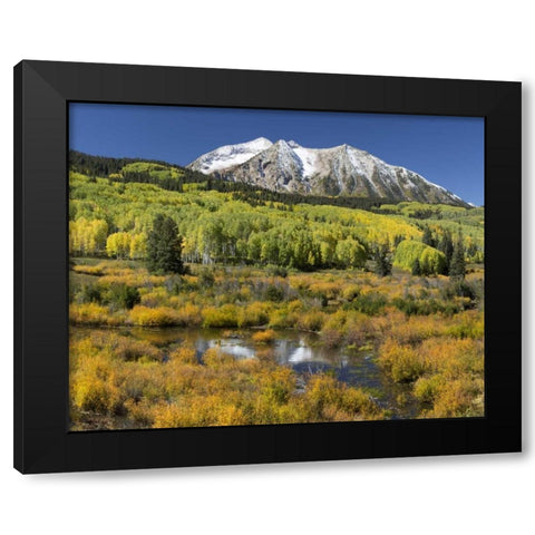 CO, East Beckwith Mountain Mountain and forest Black Modern Wood Framed Art Print with Double Matting by Paulson, Don