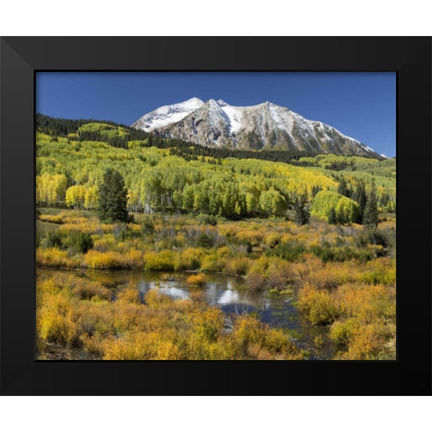 CO, East Beckwith Mountain Mountain and forest Black Modern Wood Framed Art Print by Paulson, Don