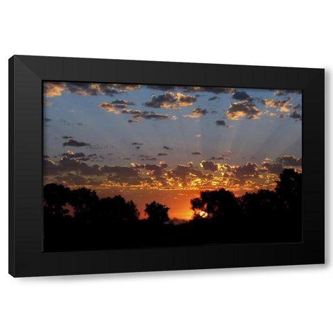 USA, Colorado, Boulder Sunrise at Sawhill Ponds Black Modern Wood Framed Art Print with Double Matting by Bush, Marie