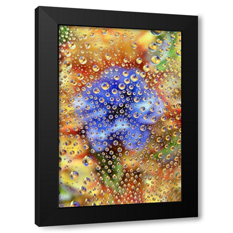 Colorado, Lafayette Abstract Water bubbles Black Modern Wood Framed Art Print by Bush, Marie
