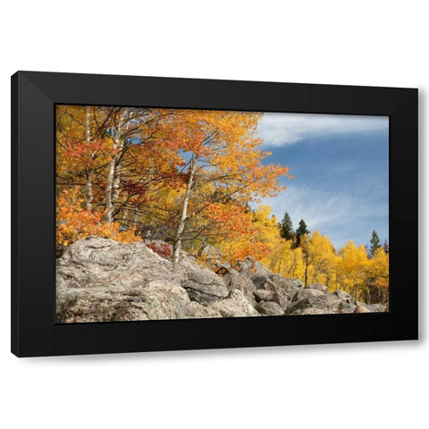 USA, Colorado, Rocky Mountain NP Autumn scenic Black Modern Wood Framed Art Print by Bush, Marie