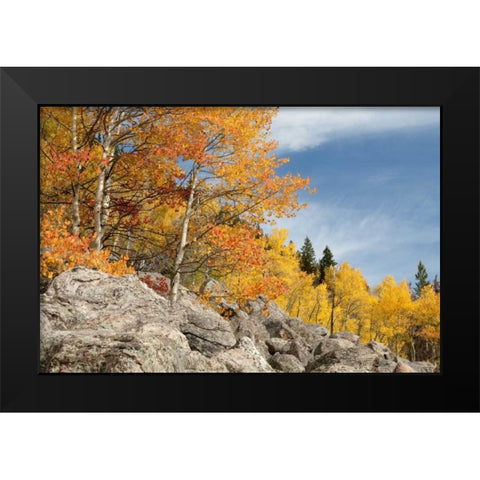 USA, Colorado, Rocky Mountain NP Autumn scenic Black Modern Wood Framed Art Print by Bush, Marie