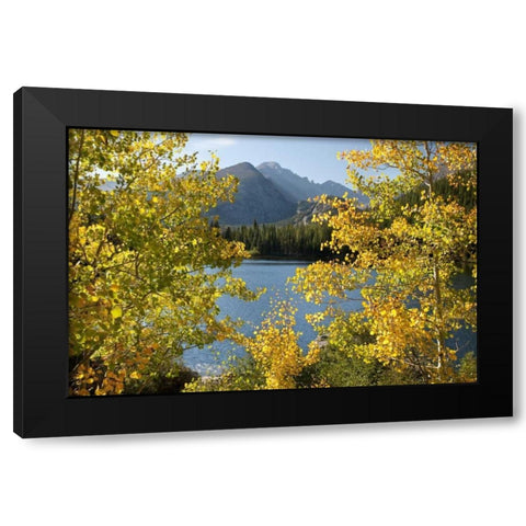 CO, Rocky Mts Bear Lake and Longs Peak, autumn Black Modern Wood Framed Art Print with Double Matting by Bush, Marie