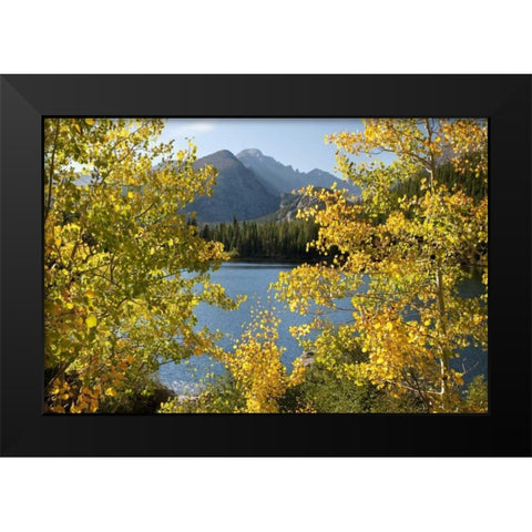 CO, Rocky Mts Bear Lake and Longs Peak, autumn Black Modern Wood Framed Art Print by Bush, Marie