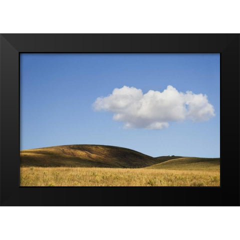 Colorado, San Juan Mts Landscape of Wilson Mesa Black Modern Wood Framed Art Print by Bush, Marie