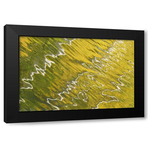 Colorado, San Juan Mts Reflection in Woods Lake Black Modern Wood Framed Art Print with Double Matting by Bush, Marie