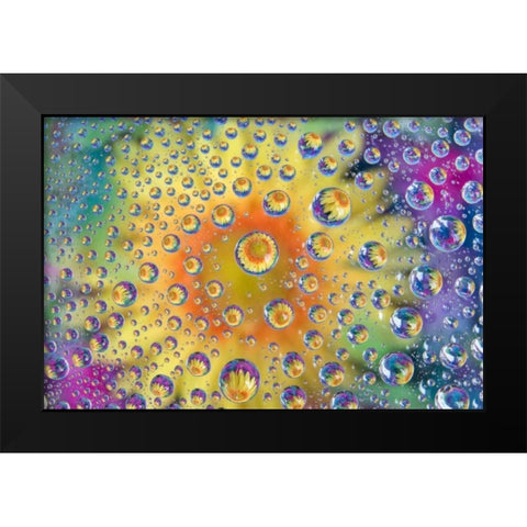 Colorado, Lafayette Abstract Water bubbles Black Modern Wood Framed Art Print by Bush, Marie