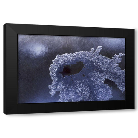 CO, Boulder Ice pattern in South Boulder Creek Black Modern Wood Framed Art Print with Double Matting by Bush, Marie