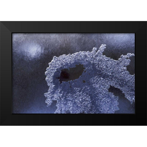 CO, Boulder Ice pattern in South Boulder Creek Black Modern Wood Framed Art Print by Bush, Marie