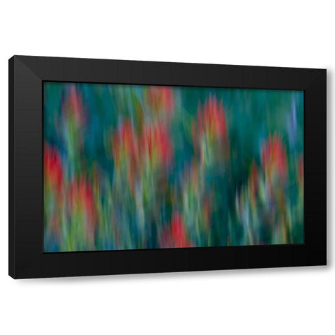 USA, Colorado, Crested Butte Flower abstract Black Modern Wood Framed Art Print with Double Matting by Bush, Marie