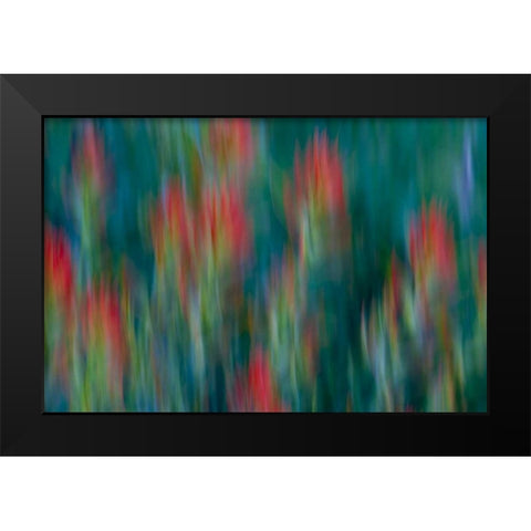 USA, Colorado, Crested Butte Flower abstract Black Modern Wood Framed Art Print by Bush, Marie