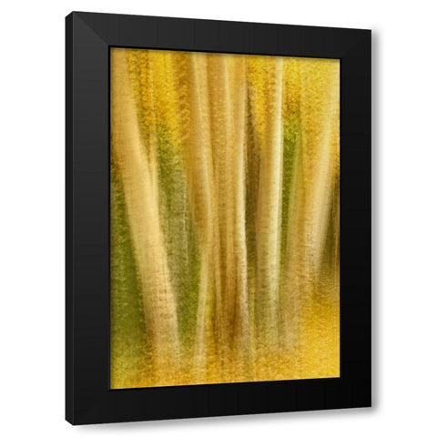 Colorado, San Juan Mountains Aspen tree abstract Black Modern Wood Framed Art Print by Bush, Marie