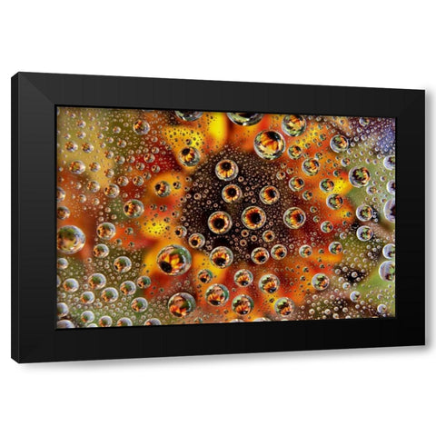 CO, Lafayette Water bubbles on glass table top Black Modern Wood Framed Art Print with Double Matting by Bush, Marie