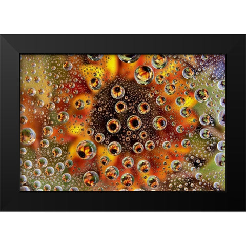 CO, Lafayette Water bubbles on glass table top Black Modern Wood Framed Art Print by Bush, Marie