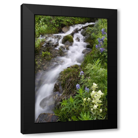 Colorado, Crested Butte Stream and flowers Black Modern Wood Framed Art Print by Bush, Marie
