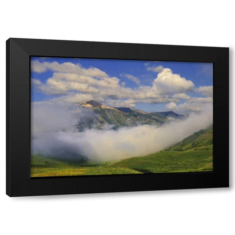 Colorado, Fog and mountain landscape Black Modern Wood Framed Art Print by Rotenberg, Nancy