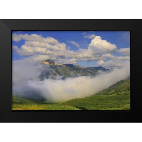Colorado, Fog and mountain landscape Black Modern Wood Framed Art Print by Rotenberg, Nancy