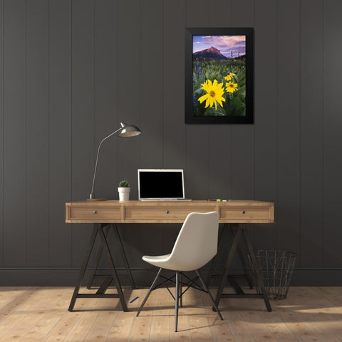 CO, Mt Crested Butte Meadow flowers at sunset Black Modern Wood Framed Art Print by Rotenberg, Nancy