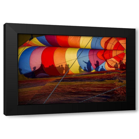 CO, Colorado Springs Hot air balloon Festival Black Modern Wood Framed Art Print by Grall, Don