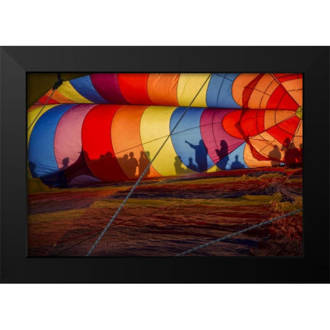 CO, Colorado Springs Hot air balloon Festival Black Modern Wood Framed Art Print by Grall, Don