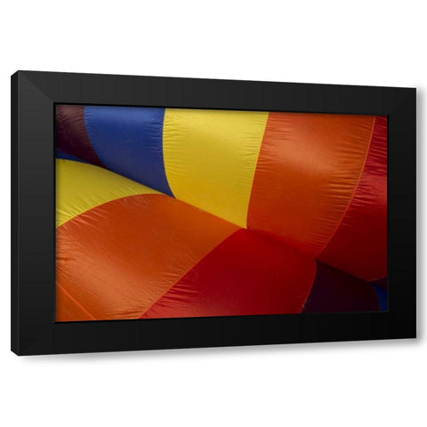 CO, Colorado Springs Hot air balloon Festival Black Modern Wood Framed Art Print with Double Matting by Grall, Don