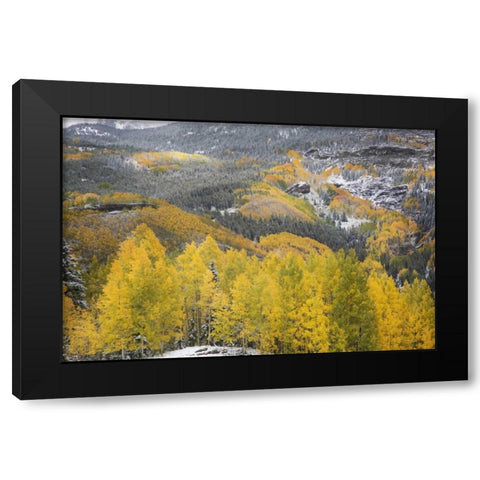 Colorado, San Juan Mountains Autumn snowfall Black Modern Wood Framed Art Print with Double Matting by Grall, Don