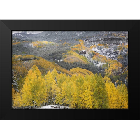 Colorado, San Juan Mountains Autumn snowfall Black Modern Wood Framed Art Print by Grall, Don