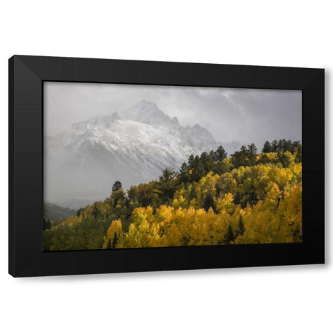 Colorado, Sneffels Range Mt Sneffels at sunset Black Modern Wood Framed Art Print by Grall, Don