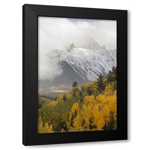 Colorado, Sneffels Range Mt Sneffels at sunset Black Modern Wood Framed Art Print by Grall, Don