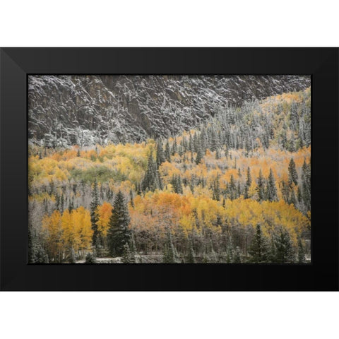 Colorado, San Juan Mountains Autumn snowfall Black Modern Wood Framed Art Print by Grall, Don