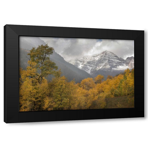 CO Autumn sunrise on Maroon Bells mountains Black Modern Wood Framed Art Print by Grall, Don