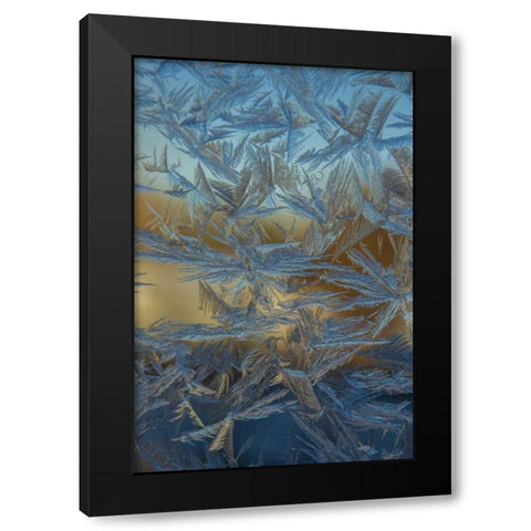USA, Colorado, Denver Frost on a window Black Modern Wood Framed Art Print with Double Matting by Illg, Cathy and Gordon