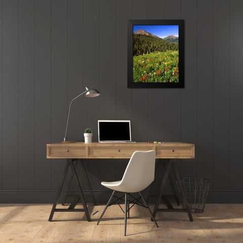 CO, Maroon Bells-Snowmass Wilderness Flowers Black Modern Wood Framed Art Print by Terrill, Steve