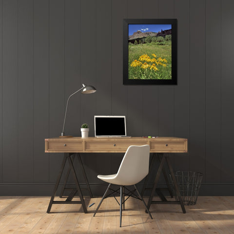 CO, Mill Creek Valley Sneezeweed blooming Black Modern Wood Framed Art Print by Terrill, Steve