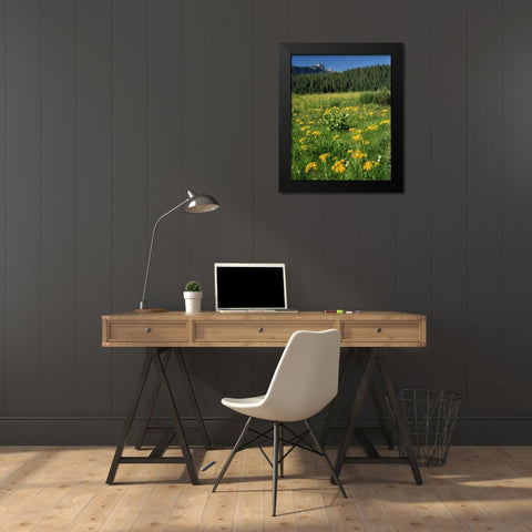 CO, West Elks Wilderness Sneezeweed blooming Black Modern Wood Framed Art Print by Terrill, Steve